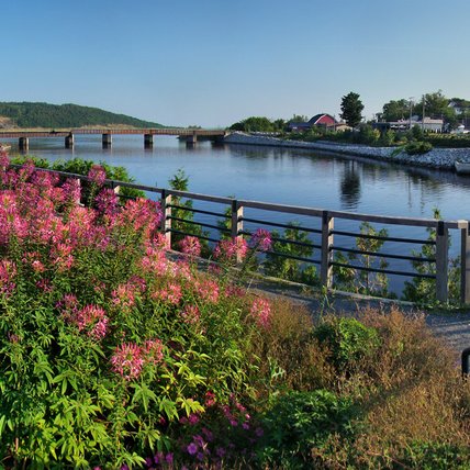 Photo of Woodstock community