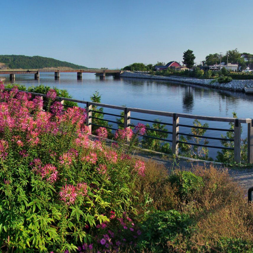 Keller Williams Capital Realty Serving Fredericton, Oromocto